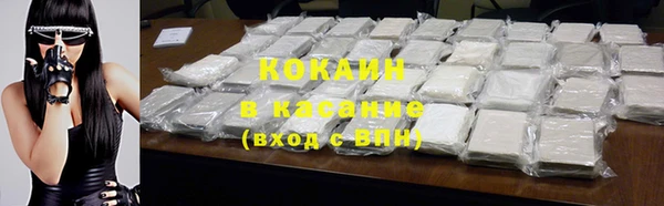 твердый Бородино