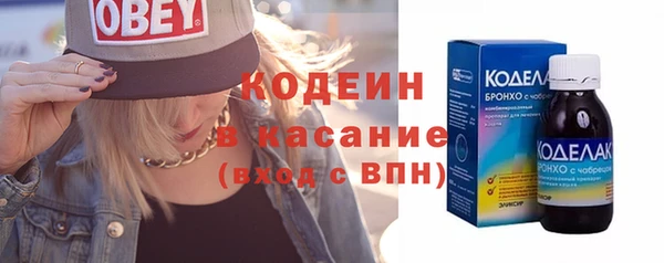 твердый Бородино