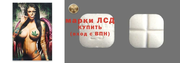 твердый Бородино