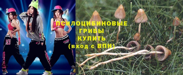 твердый Бородино