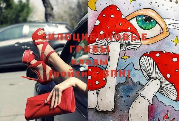 гидра Бронницы