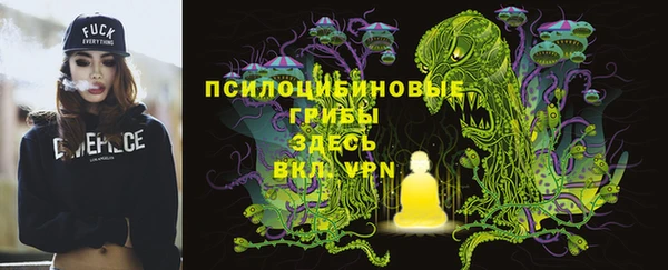 твердый Бородино