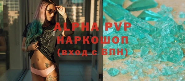 твердый Бородино